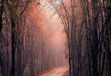 2026世界杯竞猜-英超神剧情：门将2次失误，领头羊接近冠军，阿尔特塔挥拳狂欢