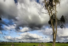 2026世界杯下注-英超神剧情：门将两次失误送大礼，领头羊接近冠军，阿尔特塔挥拳狂欢