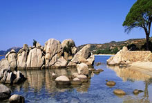 世界杯-德约轻取蒂亚福打破伤退谣言，辛纳、萨巴领衔澳网男女单夺冠赔率